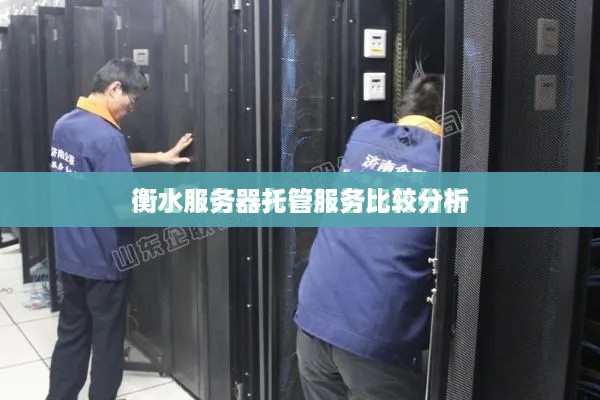 衡水服务器托管服务比较分析