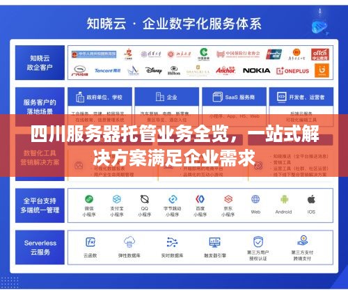 四川服务器托管业务全览，一站式解决方案满足企业需求