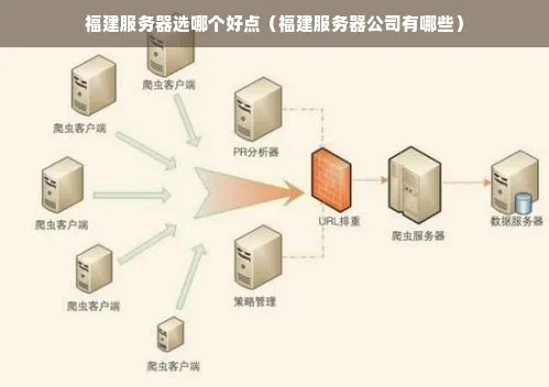 福建服务器托管服务选择指南，优质服务商盘点