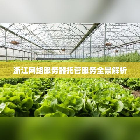 浙江网络服务器托管服务全景解析