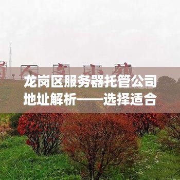 龙岗区服务器托管公司地址解析——选择适合您业务的高效服务点