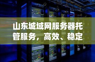 山东城域网服务器托管服务，高效、稳定与创新的融合