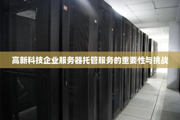 高新科技企业服务器托管服务的重要性与挑战