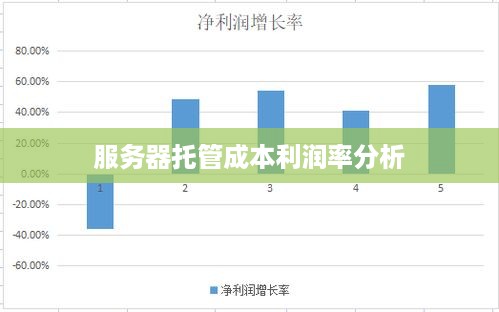 服务器托管成本利润率分析