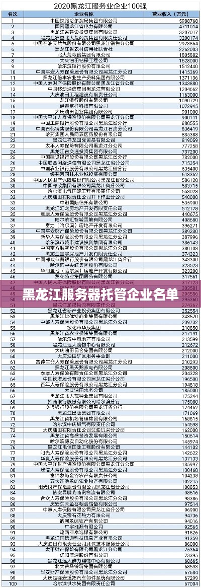 黑龙江服务器托管企业名单