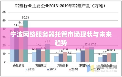 宁波网络服务器托管市场现状与未来趋势