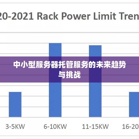 中小型服务器托管服务的未来趋势与挑战