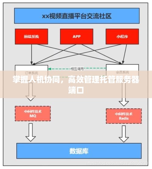 掌握人机协同，高效管理托管服务器端口