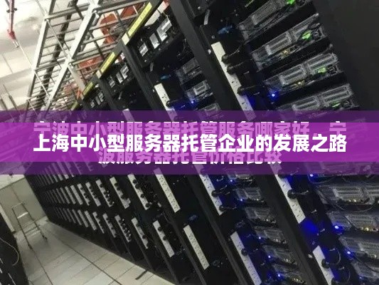 上海中小型服务器托管企业的发展之路