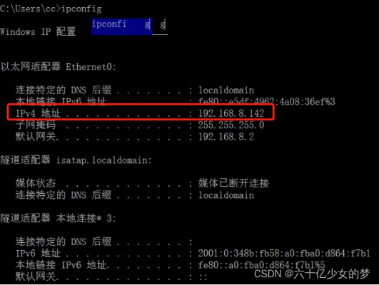 打造企业数据中心的金字招牌——高端Win10 FTP服务器托管服务