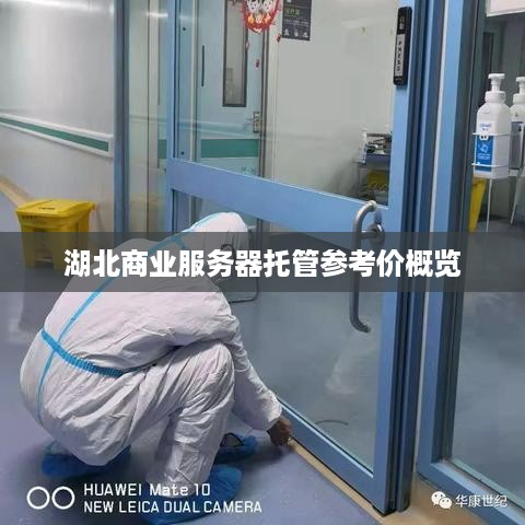 湖北商业服务器托管参考价概览