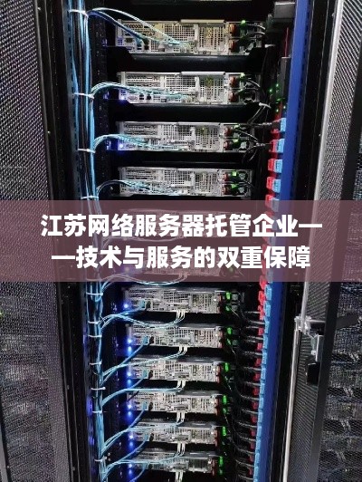 江苏网络服务器托管企业——技术与服务的双重保障