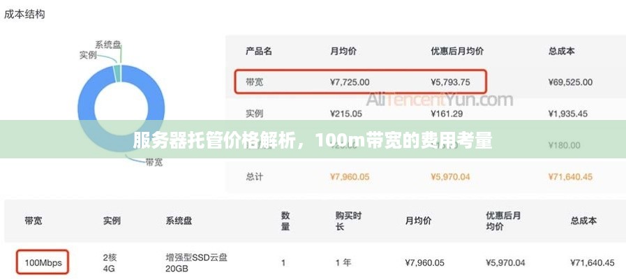 服务器托管价格解析，100m带宽的费用考量