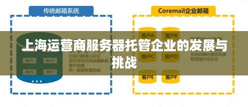 上海运营商服务器托管企业的发展与挑战