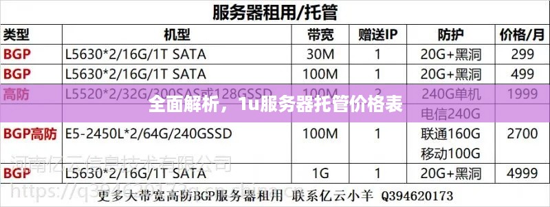 全面解析，1u服务器托管价格表