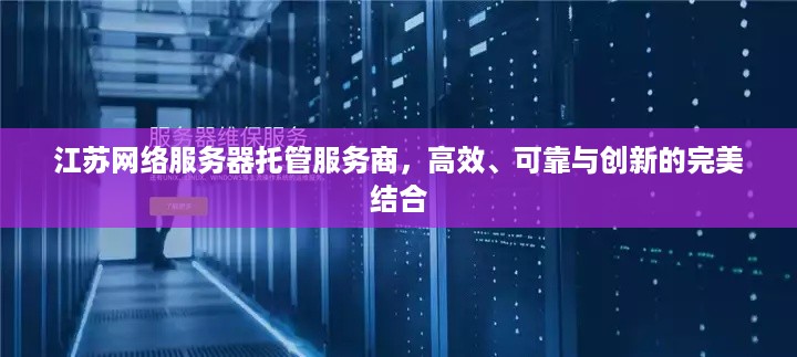 江苏网络服务器托管服务商，高效、可靠与创新的完美结合