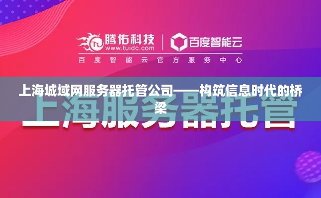 上海城域网服务器托管公司——构筑信息时代的桥梁