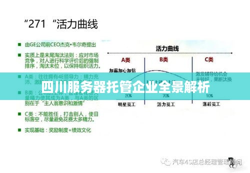 四川服务器托管企业全景解析