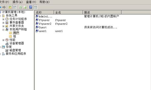 搭建高效FTP服务器托管服务，Windows 2008 Server的全面指南