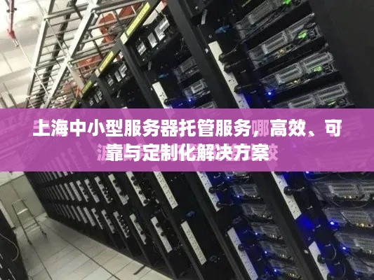 上海中小型服务器托管服务，高效、可靠与定制化解决方案