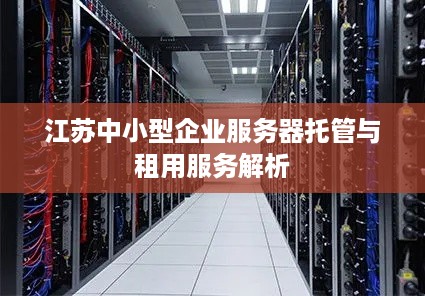 江苏中小型企业服务器托管与租用服务解析