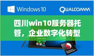 四川win10服务器托管，企业数字化转型的可靠伙伴