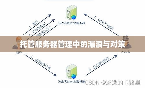 托管服务器管理中的漏洞与对策