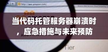 当代码托管服务器崩溃时，应急措施与未来预防