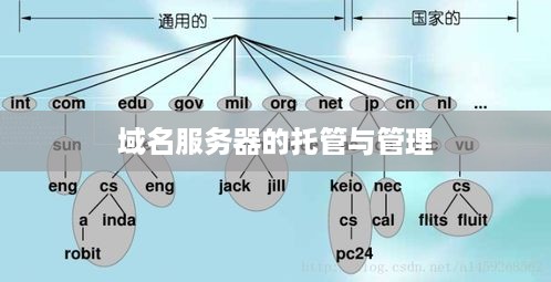 域名服务器的托管与管理