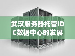 武汉服务器托管IDC数据中心的发展与挑战