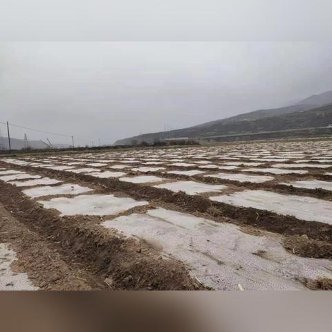 江苏地区网络服务器托管价格概览