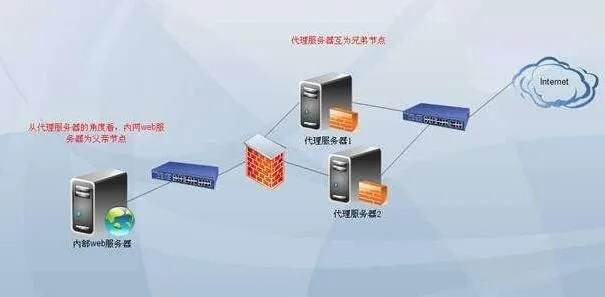 托管的单IP服务器与虚拟机，构建高效、安全的网络环境