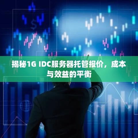 揭秘1G IDC服务器托管报价，成本与效益的平衡