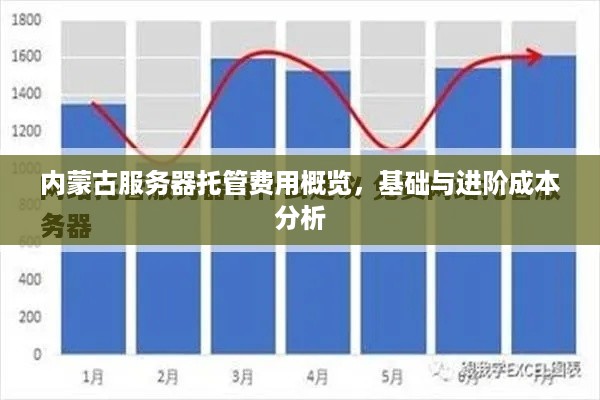 内蒙古服务器托管费用概览，基础与进阶成本分析