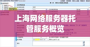 上海网络服务器托管服务概览