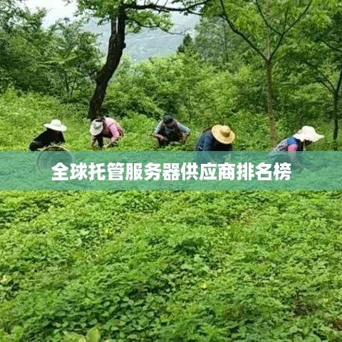 全球托管服务器供应商排名榜