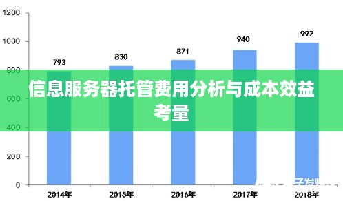 信息服务器托管费用分析与成本效益考量