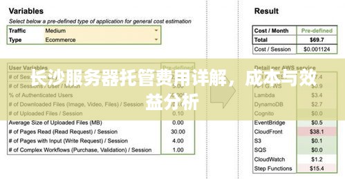 长沙服务器托管费用详解，成本与效益分析