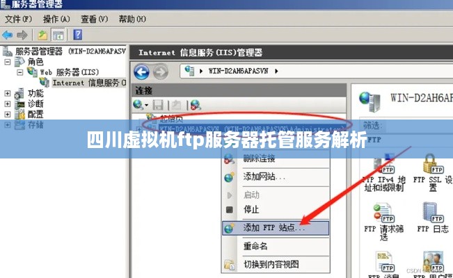 四川虚拟机ftp服务器托管服务解析