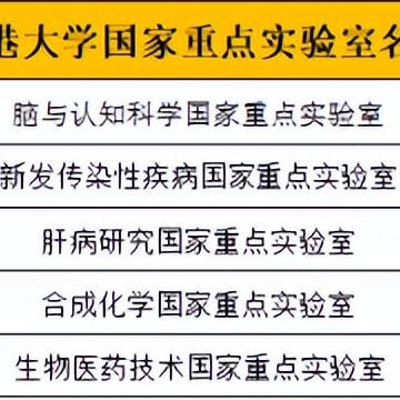 香港服务器托管费用解析，成本、选择与效益