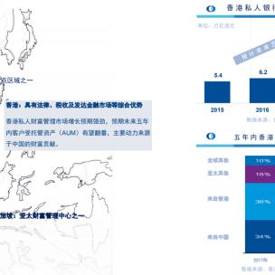 香港服务器托管费用解析，成本、选择与效益