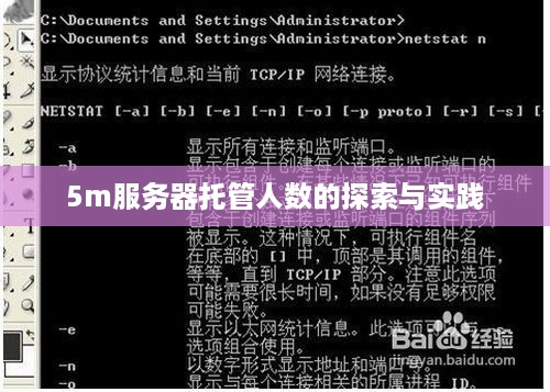 5m服务器托管人数的探索与实践