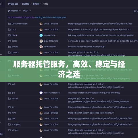 服务器托管服务，高效、稳定与经济之选
