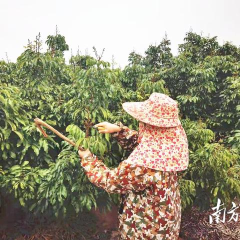 北京托管服务器选择指南，U数云空间的选择与配置