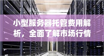 小型服务器托管费用解析，全面了解市场行情与成本结构