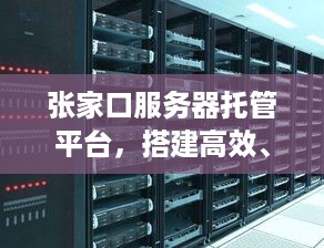 张家口服务器托管平台，搭建高效、稳定的互联网基础设施