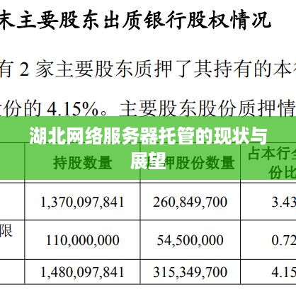 湖北网络服务器托管的现状与展望