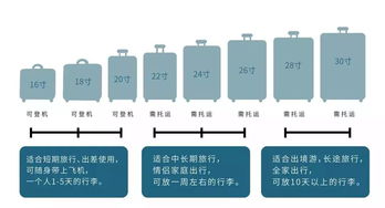 龙岗区服务器托管点的位置与选择指南