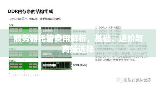 服务器托管费用解析，基础、进阶与高端选择