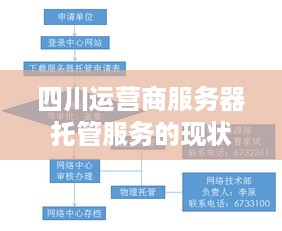 四川运营商服务器托管服务的现状与挑战